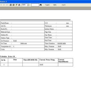 Report-In-Tabular-Form_1